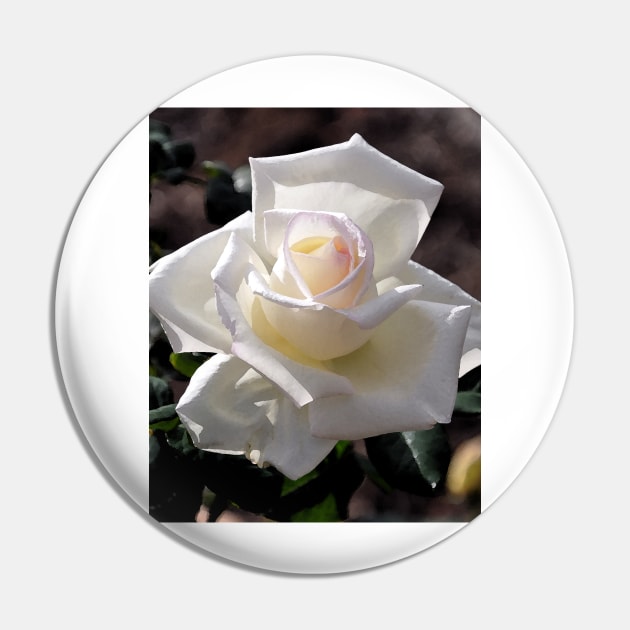 White Rose Bloom Pin by KirtTisdale