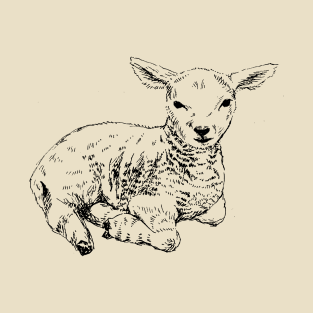 Lamb print T-Shirt