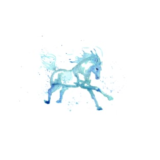 Water horse 2 T-Shirt