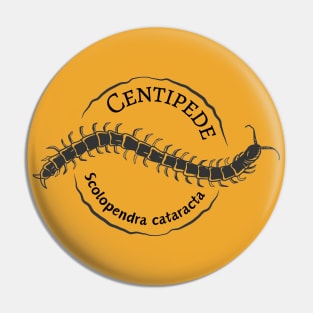 Centipedes (Scolopendra cataracta) Pin