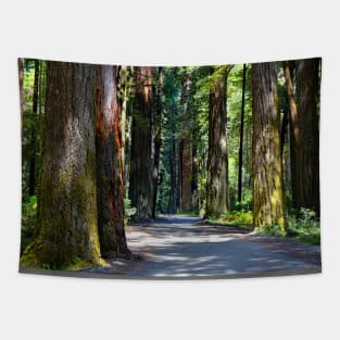 California Redwoods Tapestry