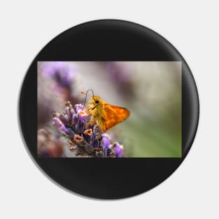 Orange woodland skipper butterfly Pin