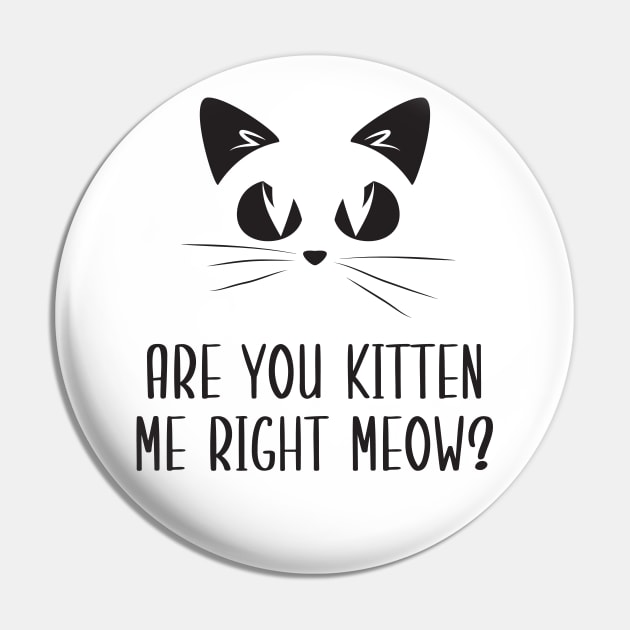 Are You Kitten Me Right Meow Pin by Health