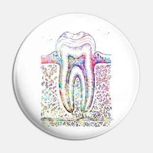 Tooth diagram Pin