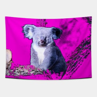 Koala Bär  / Swiss Artwork Photography Tapestry