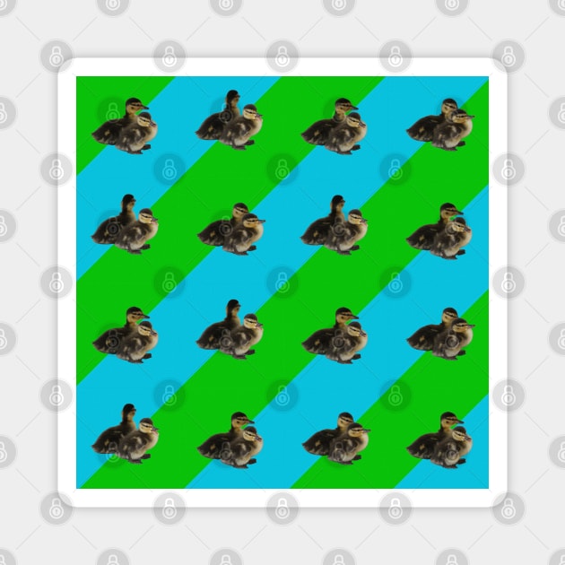 Baby Ducks on Grass Green and Sky Blue Pattern Magnet by ButterflyInTheAttic