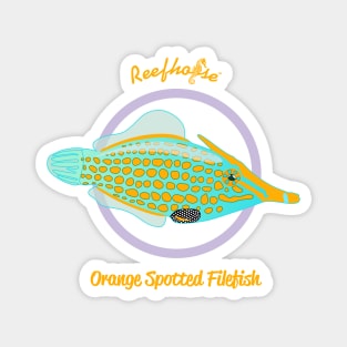 Orange Spotted Filefish Magnet