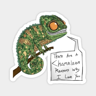 Chameleon Magnet