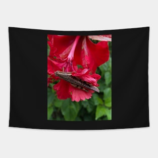 beauty in nature Tapestry