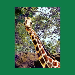 Giraffes - Hello Down There T-Shirt