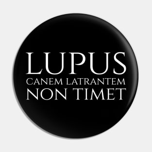 lupus non timet canem latrantem - a wolf is not afraid of a barking dog - Latin quote Pin