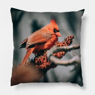 Beautiful Sumac Cardinal Pillow