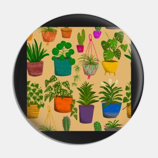 Houseplants indoor garden oasis Pin