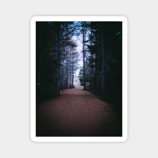 From Darkness to Light, Forest Trail V1 Magnet