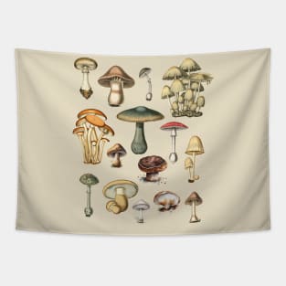 Vintage Mushrooms Dark Academia Illustrations Tapestry