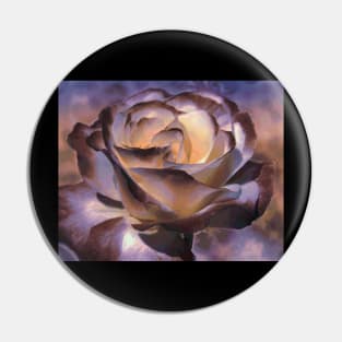 purple rose Pin