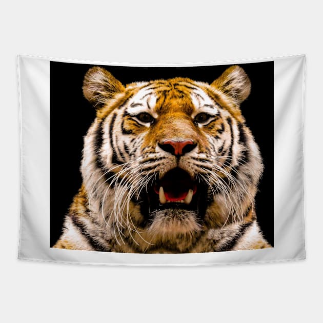 Tiger Tapestry by kawaii_shop