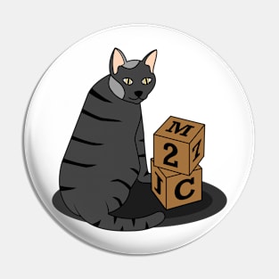 Cat with Cubes Pin