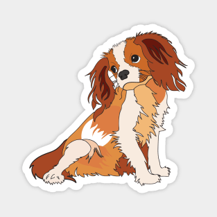 Cute little Cavalier King Charles Spaniel Magnet