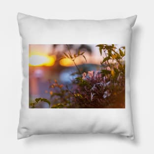 Sunset and flowers close up Pillow