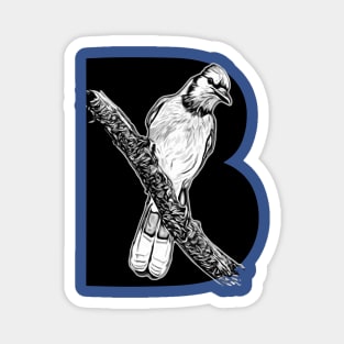 Blue Jay Magnet