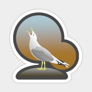 Mew gull Magnet