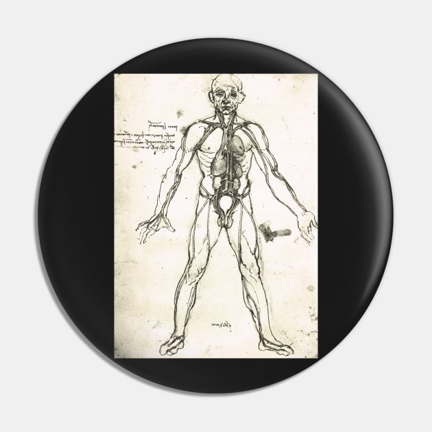 Anatomical figure of a man, to show the heart, lungs and main arteries.  Drawn by Leonardo Da Vinci, circa 1504-06 Pin by artfromthepast