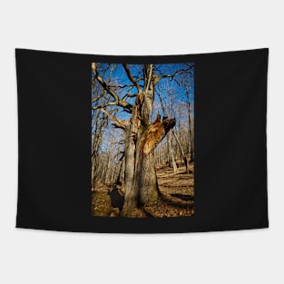 Huge oak tree Tapestry