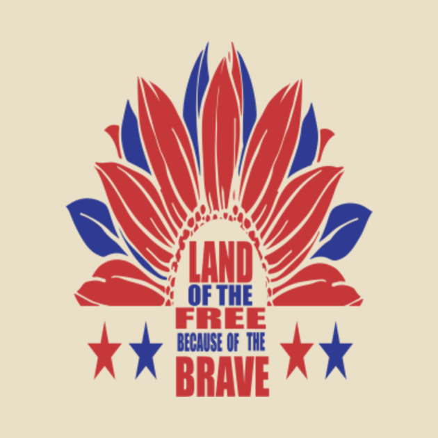 land of the free because of the brave decal