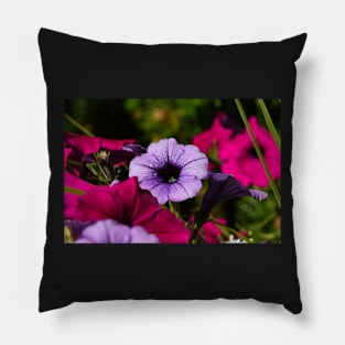 Purple and red petunias Pillow