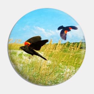 Red-Winged Blackbirds Pin