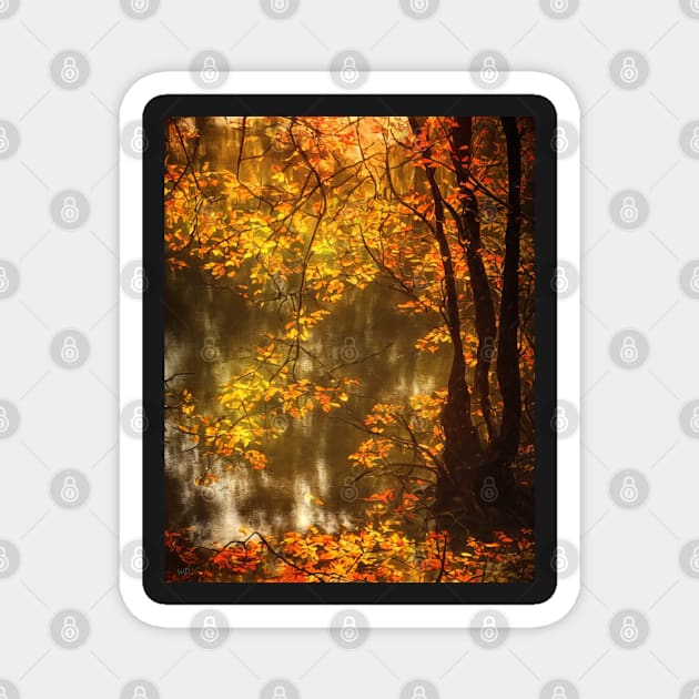 Natural landscape in autumn Magnet by Marcel1966