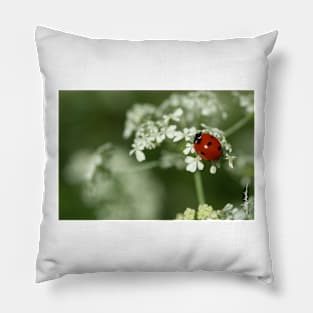 Ladybug & Hemlock Pillow