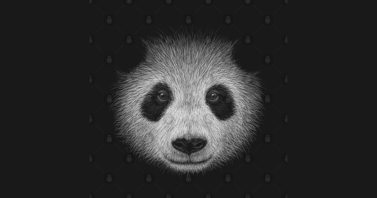 Fancy Panda Illustration Funky Panda-Bear Drawing - Panda - T-Shirt ...