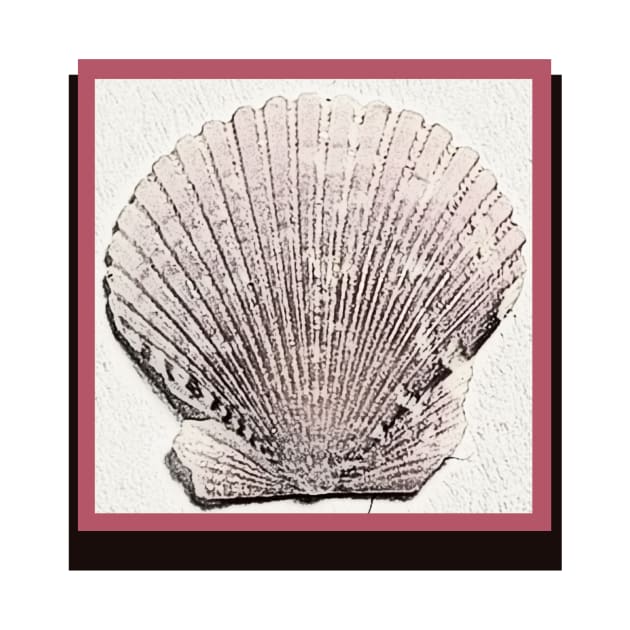 Lispe Photo Art Scallop Sea Shell with Pink by Lispe