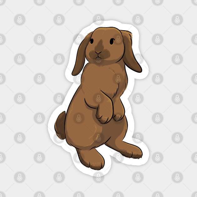 Holland Lop Magnet by DeguArts