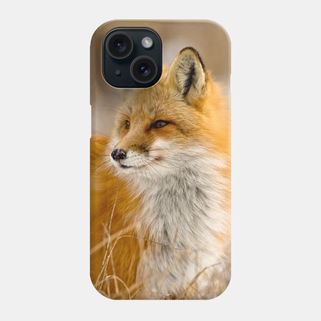 Red Fox Phone Case by jaydee1400