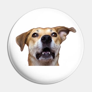 dog Pin