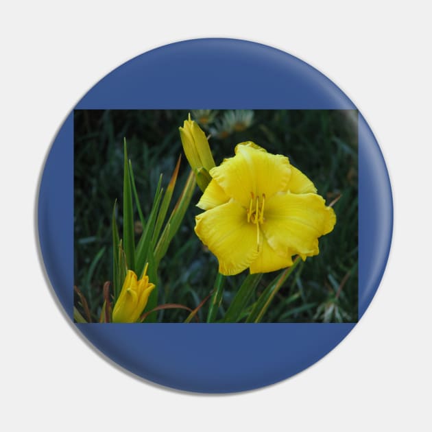 Day lily Pin by FriendlyComputerHelp