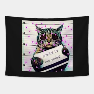 Valentine's Day Cat Kitty Tapestry