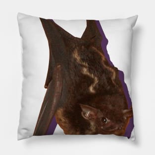 Bat Pillow