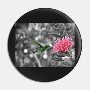 Hummingbird on a pink flower Pin