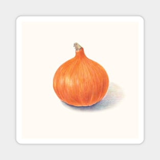 Colored Pencils Pumpkin Magnet