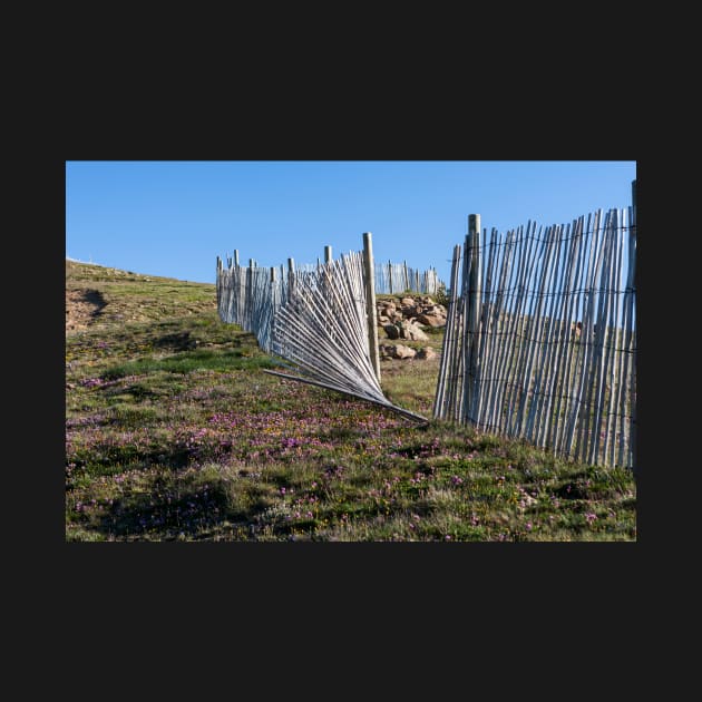 Broken Fence by ansaharju