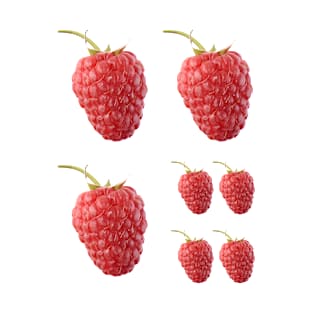 Raspberry T-Shirt