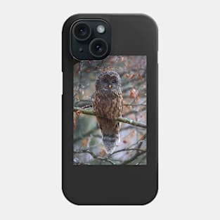 Ural owl perched on a branch Phone Case