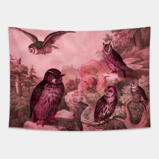 OWLS IN WILD NATURE IN RED PINK HUES Antique Animal Drawings Tapestry