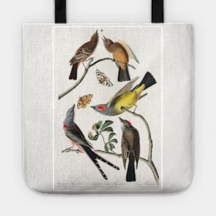 Swallow-Tailed Flycatcher from Birds of America (1827) Tote