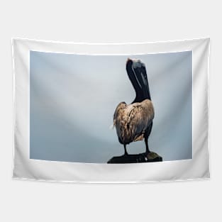 Brown Pelican of Calabash 2 Tapestry