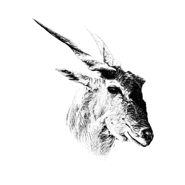 Eland antelope by Guardi